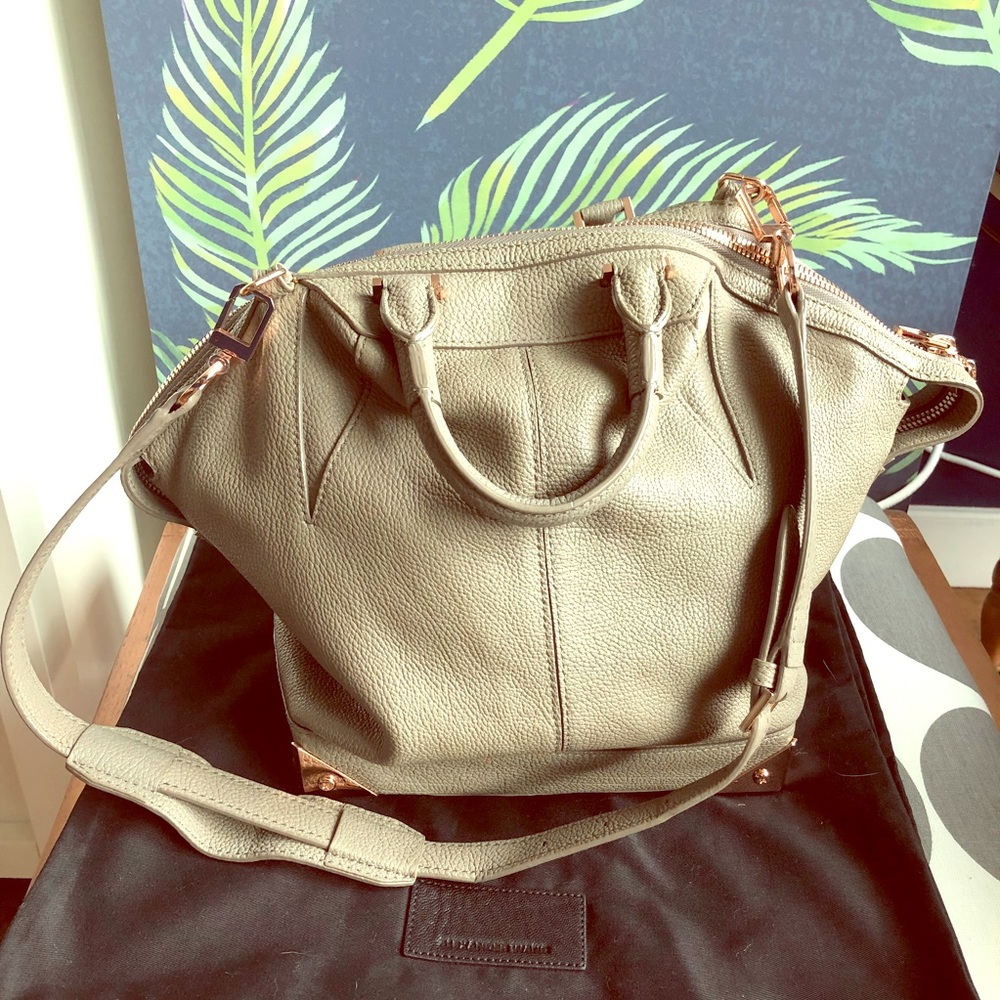 Alexander Wang large Emile crossbody bag